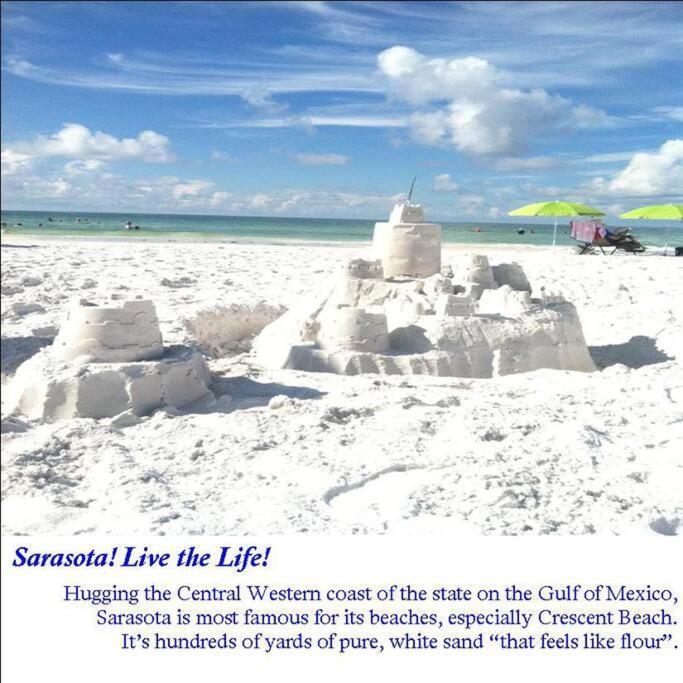 Bernice 3Bd2Bth With Heated Pool Near Siesta Key! Sarasota Eksteriør billede